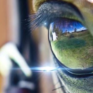 Meet your Posher, Shelly